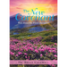 The New Covenant: Was Jesus the Final Sacrifice?