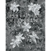 Prevailing Westerlies: Fine Art Photographs