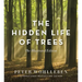 The Hidden Life of Trees: The Illustrated Edition