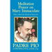 Meditation Prayer on Mary Immaculate