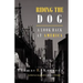 Riding the Dog: A Look Back at America