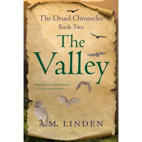 The Valley: The Druid Chronicles, Book Two
