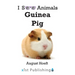 Guinea Pig