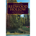 Through the Redwood Hollow