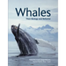 Whales: Their Biology and Behavior
