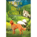 Murder at an Irish Castle