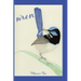 Wren