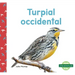 Turpial Occidental (Western Meadowlarks)
