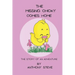The Missing Chicky Comes home: The story of an adventure
