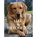 Lulu & The Noisy Dog