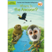 Where Is the Amazon?