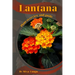 Lantana: Plant overview and guide