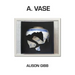 A. Vase