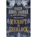 Mycroft and Sherlock