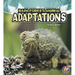 Rain Forest Animal Adaptations