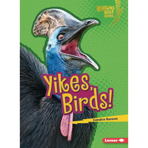 Yikes, Birds!