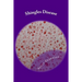 Shingles Disease: The Complete Guide