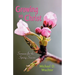 Growing in Christ