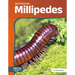 Millipedes