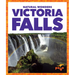 Victoria Falls