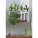 The HOA