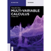 Multi-Variable Calculus: A First Step