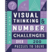 Visual Thinking & Number Challenges: Over 200 Puzzles to Solve