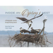 Inside an Osprey's Nest: A Photographic Journey Through Nesting Season