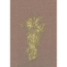 Marfa and Presidio County, Texas: A Social, Economic, and Cultural Study 1937 to 2008 Volume Two, 1990-2008