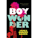 Boy Wonder (Valancourt 20th Century Classics)