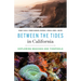Between the Tides in California: Exploring Beaches and Tidepools