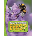 Why Do We Need Bees?