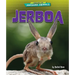 Jerboa