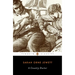 A Country Doctor