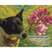 Delilah and the Lilacs: Black Bear Sled Dog and Friends