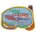 Diving for Colors