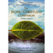 The Ironic Christian's Companion: Finding the Marks of God's Grace in the World