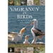Vagrancy in Birds