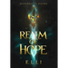 Realm of Hope: A Video Game-Inspired Fantasy Epic