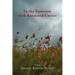 In the Sunroom with Raymond Carver