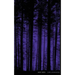 Night Vision
