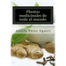 Plantas medicinales de todo el mundo: Una revisión actualizada