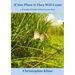 If You Plant It They Will Come: A Butterfly Habitat Creation Success Story