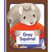 Grey Squirrel
