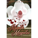 Murder Under the Magnolias