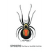 Spiders: The Play