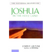 Joshua in the Holy Land