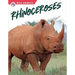 Rhinoceroses