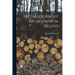 Metallography Of Aluminum Alloys