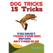 Dog Tricks: 15 Tricks You Must Teach Your Dog before Anything Else